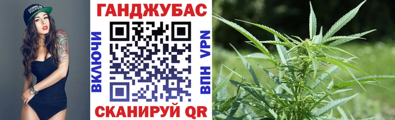 Цена Олонец Гашиш Конопля omg маркетплейс МЕФ Cocaine