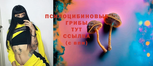 твердый Алексеевка