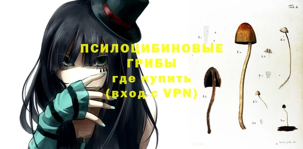 spice Алзамай