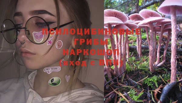 spice Алзамай