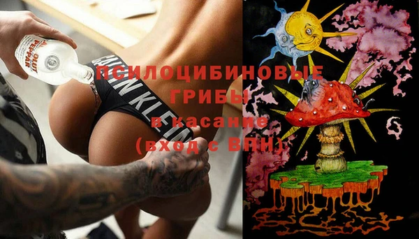 spice Алзамай