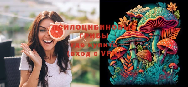 твердый Алексеевка