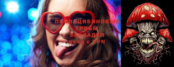 spice Алзамай