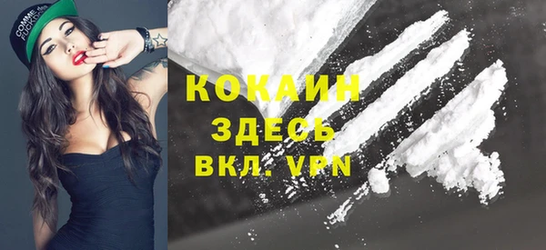 ГАЛЛЮЦИНОГЕННЫЕ ГРИБЫ Няндома